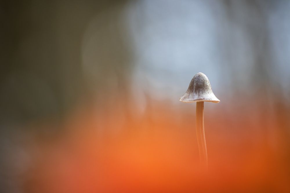 Photograph by Кузнецов Дмитрий