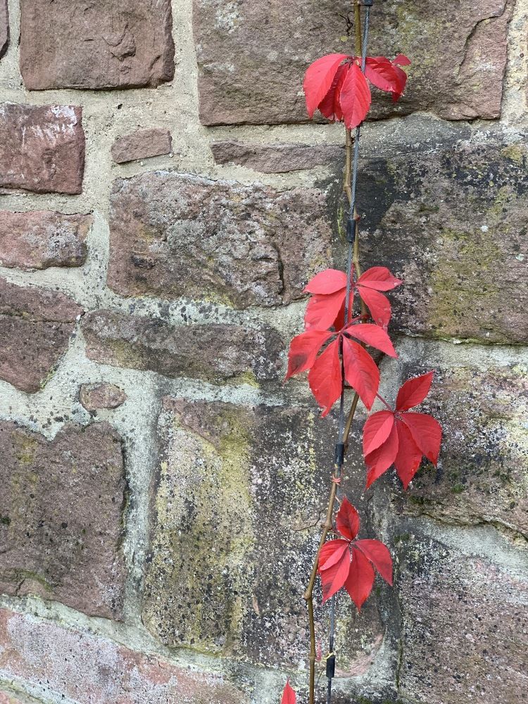 Photograph by Анастасия Мангольд