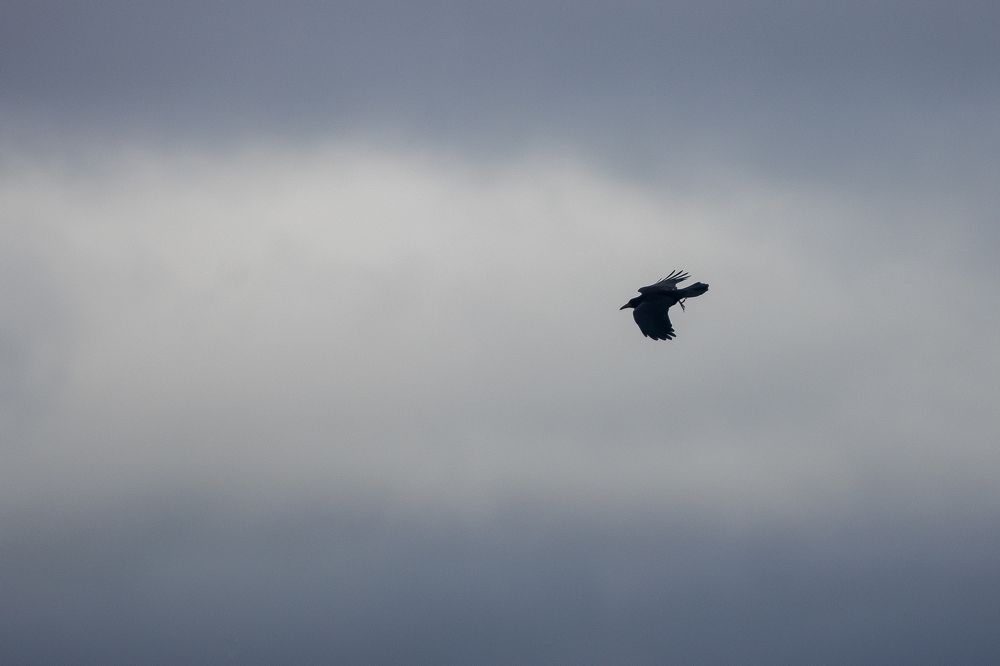 Photograph by Кузнецов Дмитрий