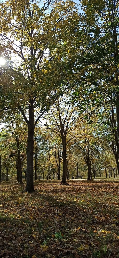 Photograph by Виорика Фоменко