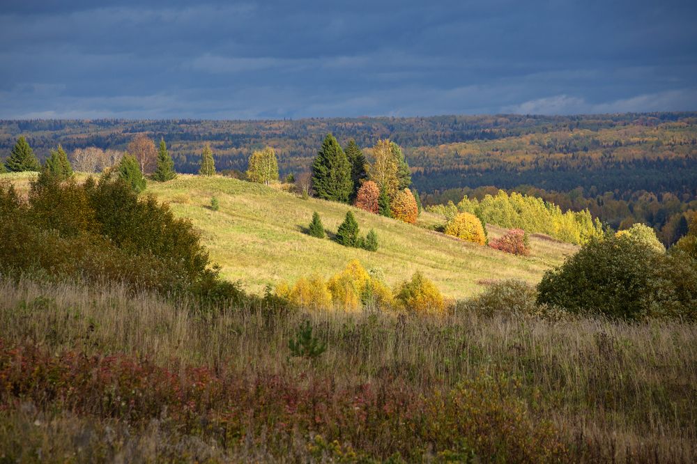Photograph by Александр Кузнецов
