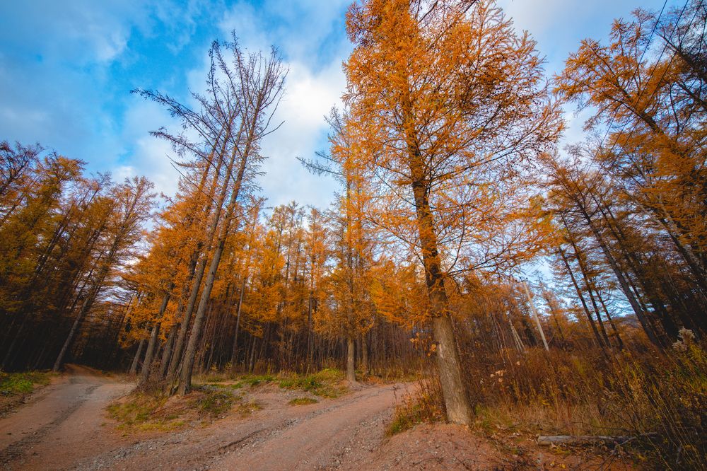 Photograph by Anna Turks