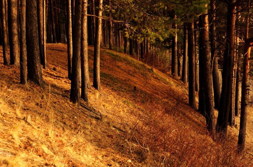 Свет и тень