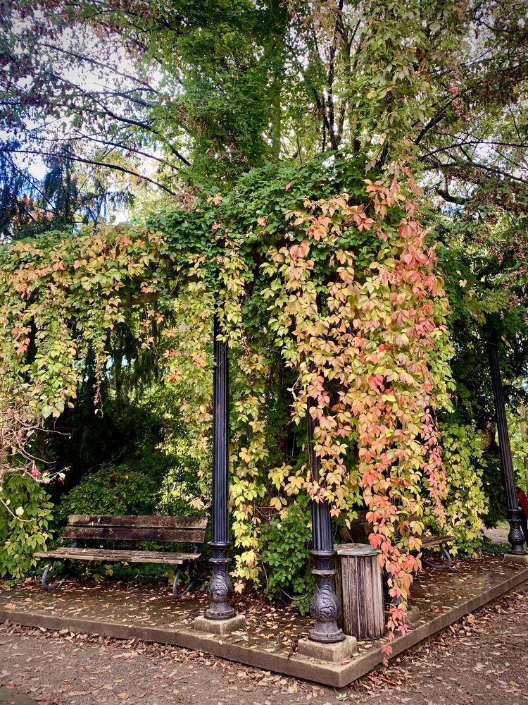 Photograph by Анастасия Мангольд