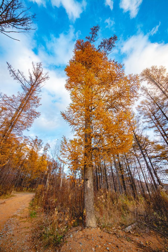 Photograph by Anna Turks