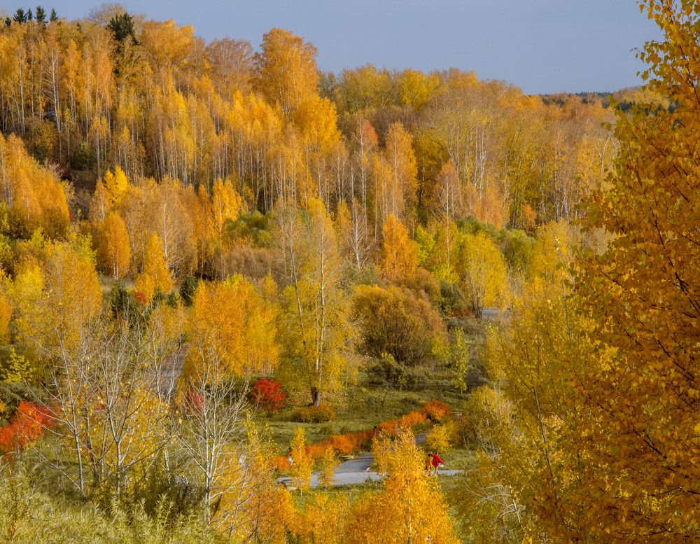 Photograph by Frolova Tatyana