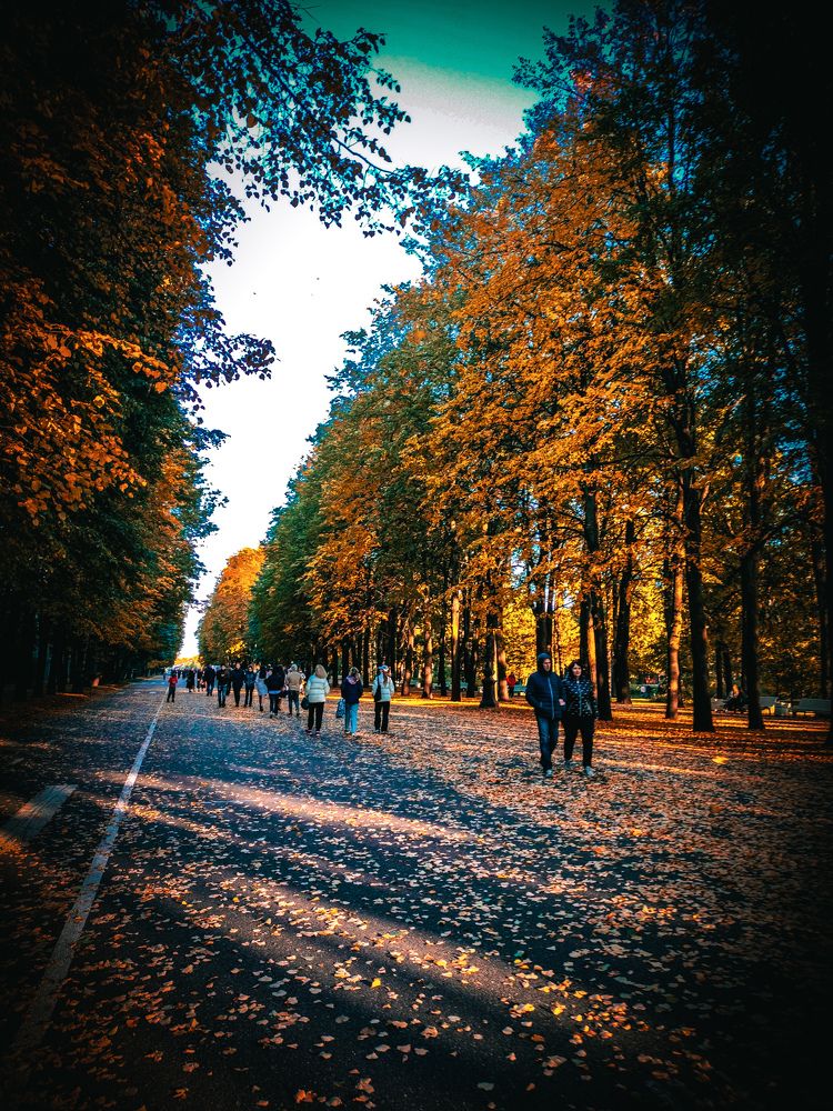 Фотография автора Дмитрий Писарев