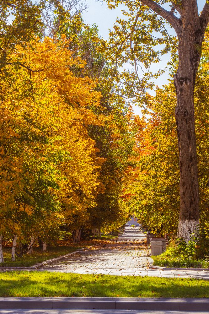 Photograph by Anna Turks