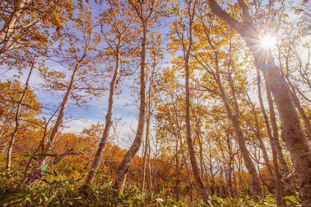 Photograph by Anna Turks