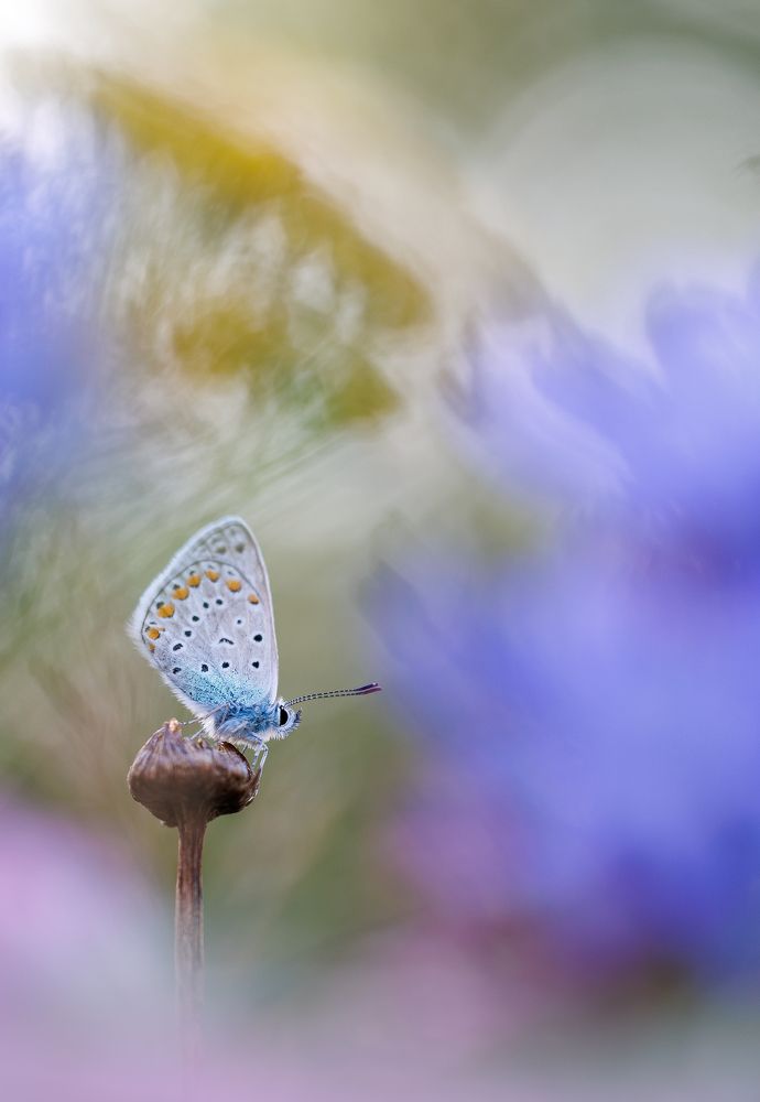 Photograph by Кузнецов Дмитрий