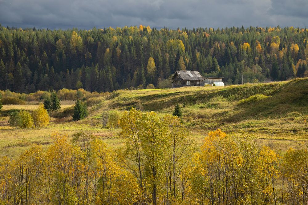 Photograph by Александр Кузнецов