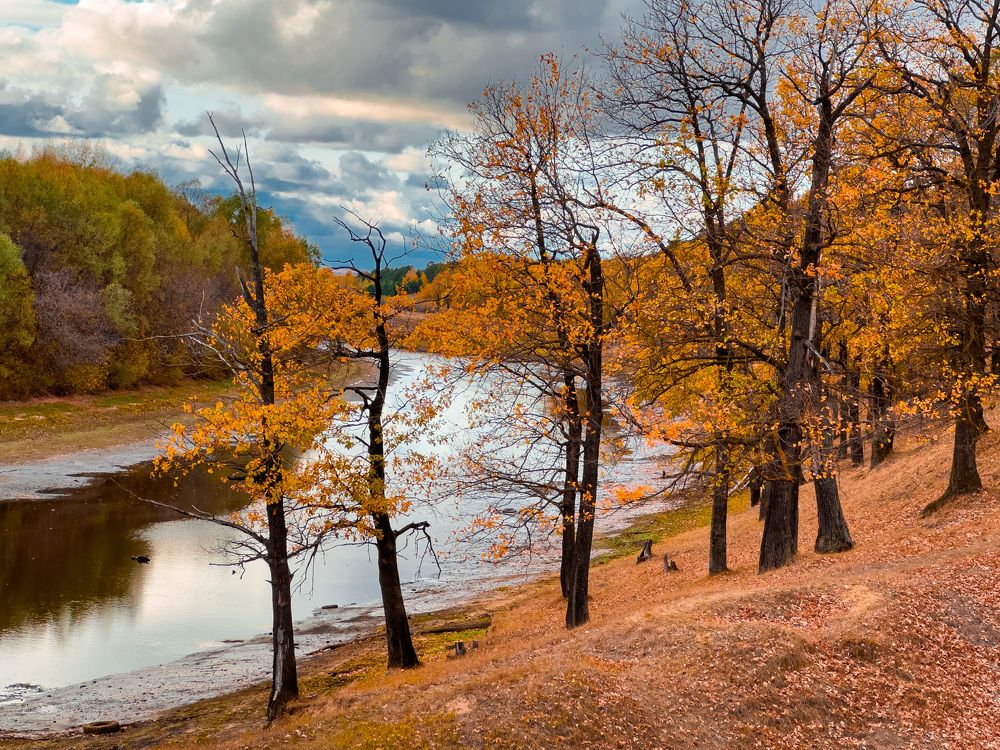 Photograph by Evgenia Privalova