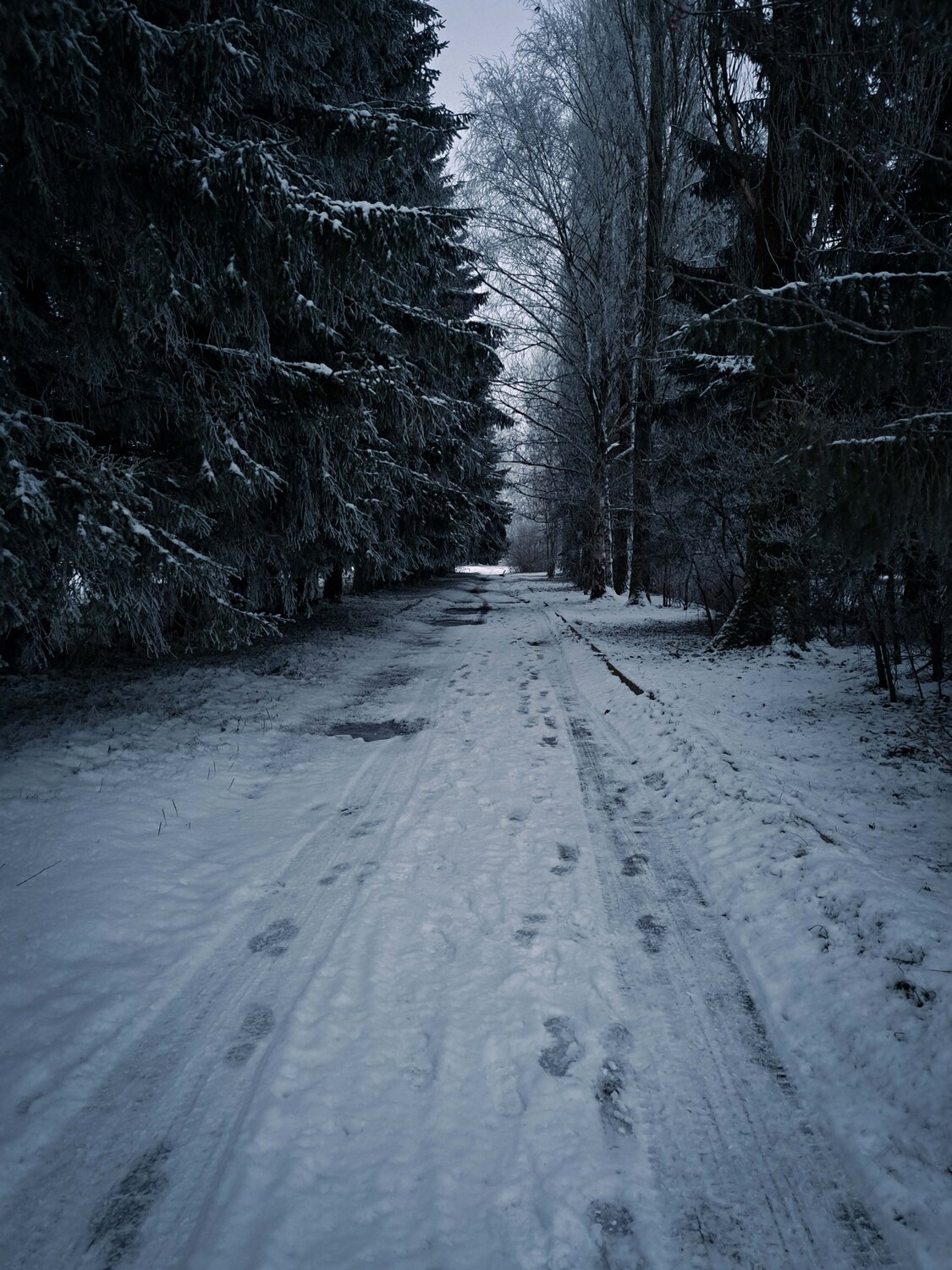 Photo #9724887