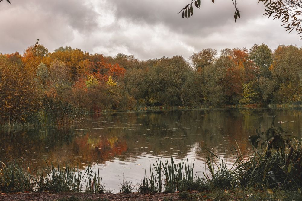Photograph by Ольга Петрова