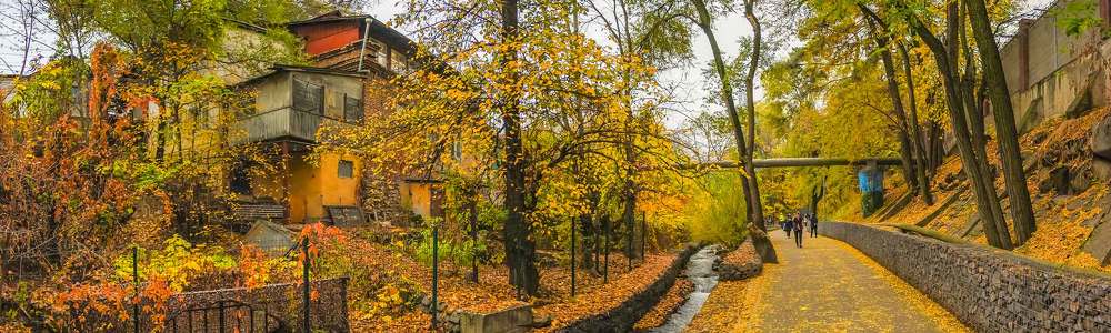 Фотография автора Владимир Пронин