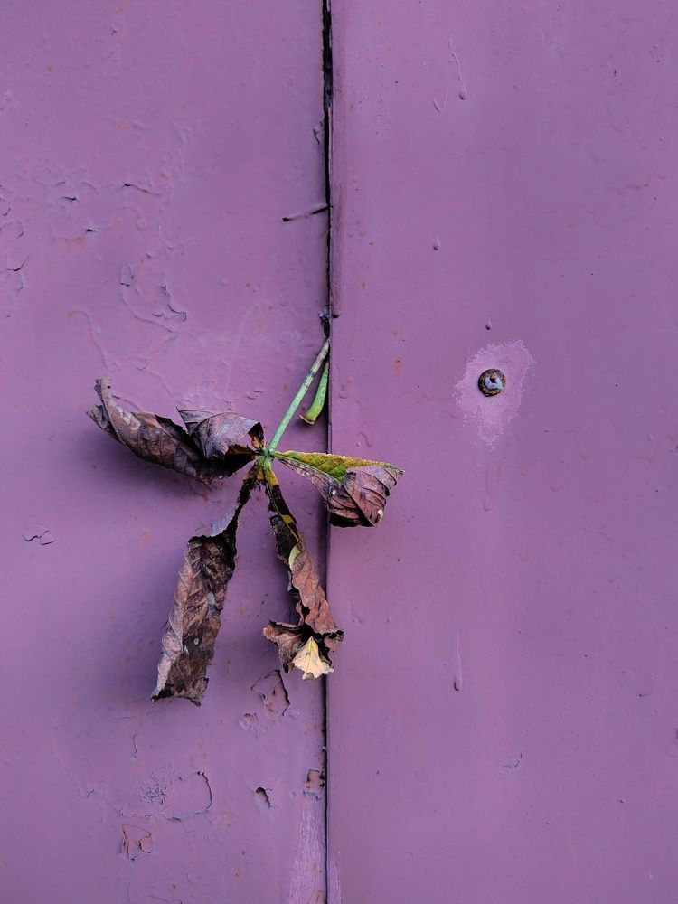 Photograph by Марина Моссий