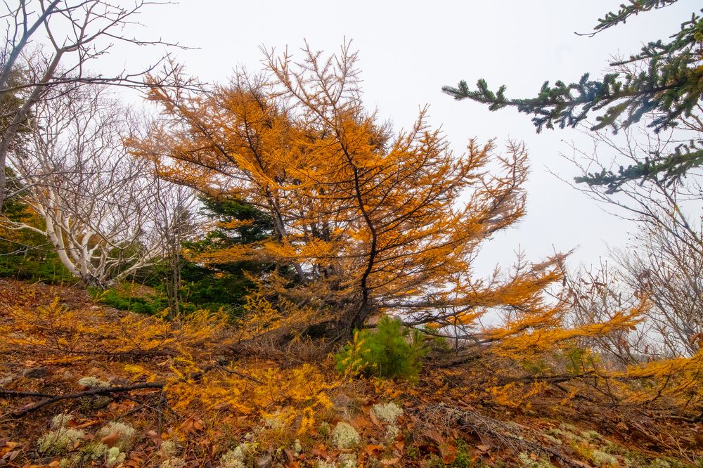 Photograph by Anna Turks