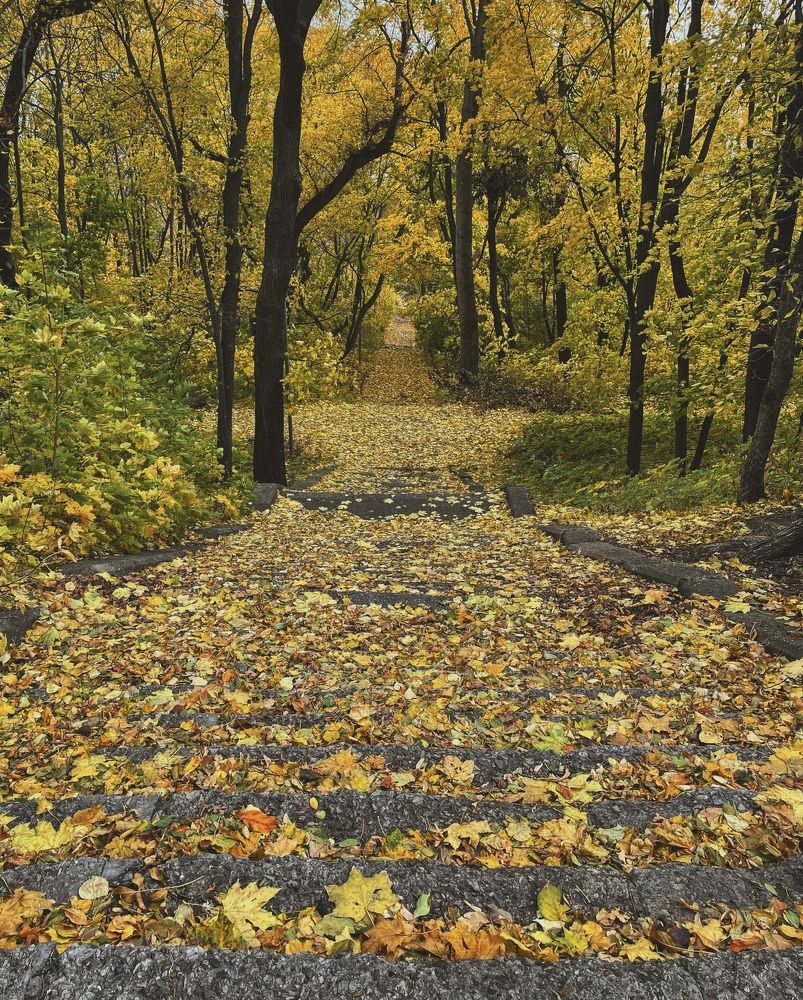 Photograph by Екатерина Артемова