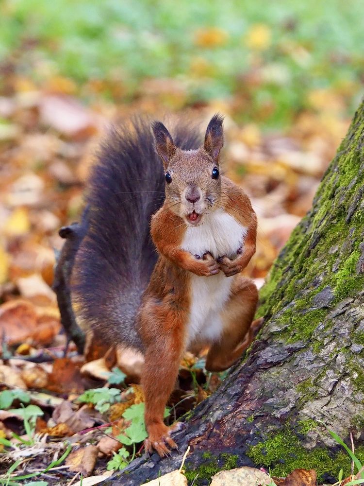 Photograph by Юлия Поршнева