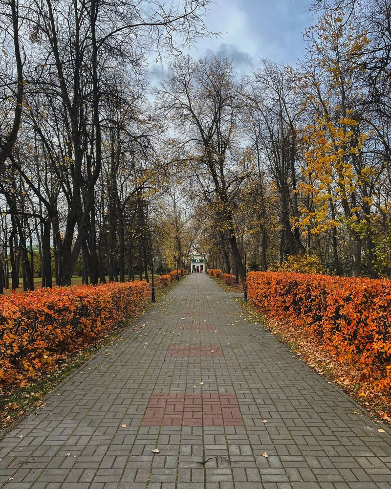 Photograph by Екатерина Артемова