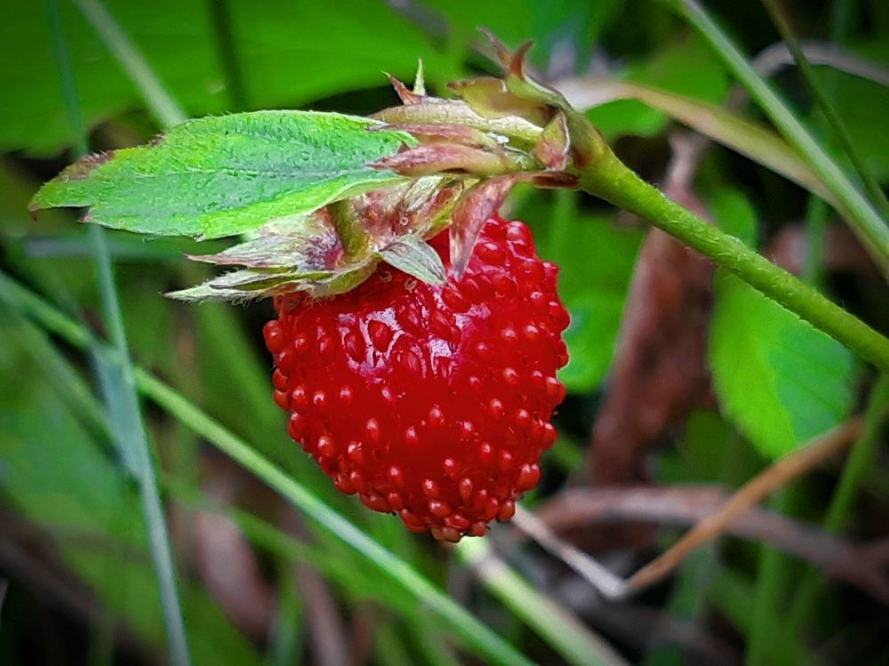 Photograph by Екатерина