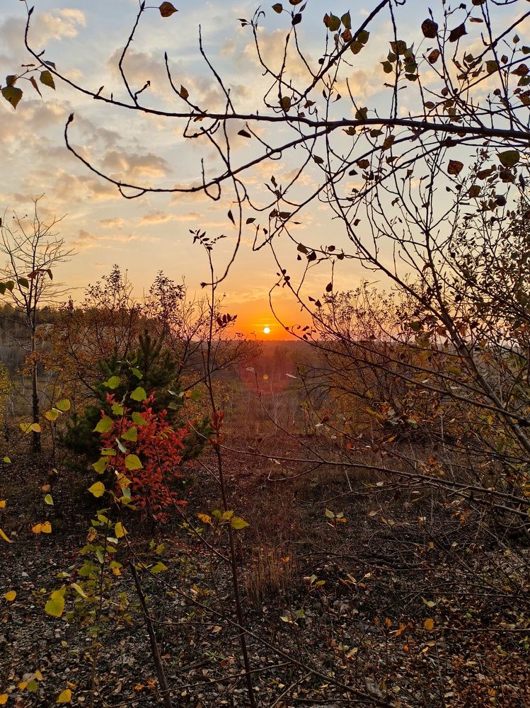 Photograph by Юлиана Курпякова