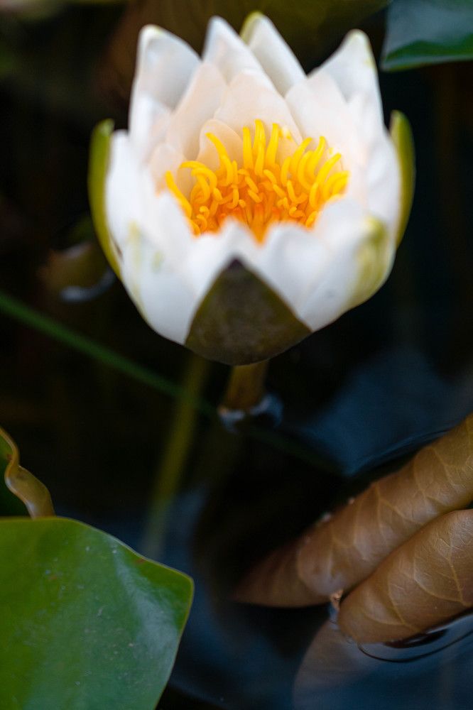 Photograph by Максим Жухлистов