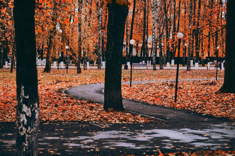 Photograph by Дмитрий Солодухин