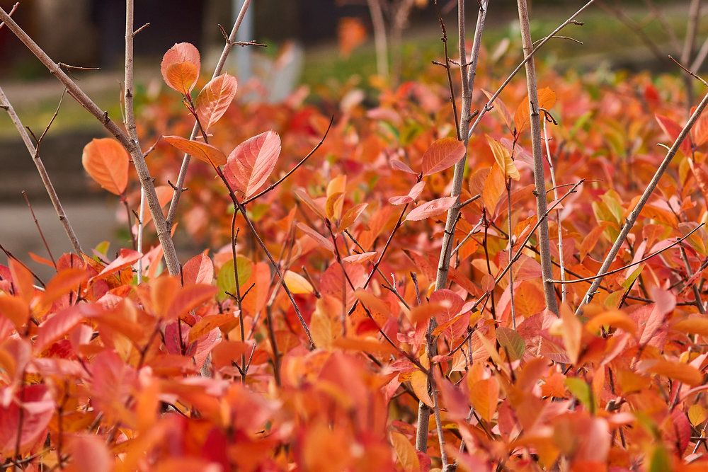 Photograph by Дмитрий Солодухин
