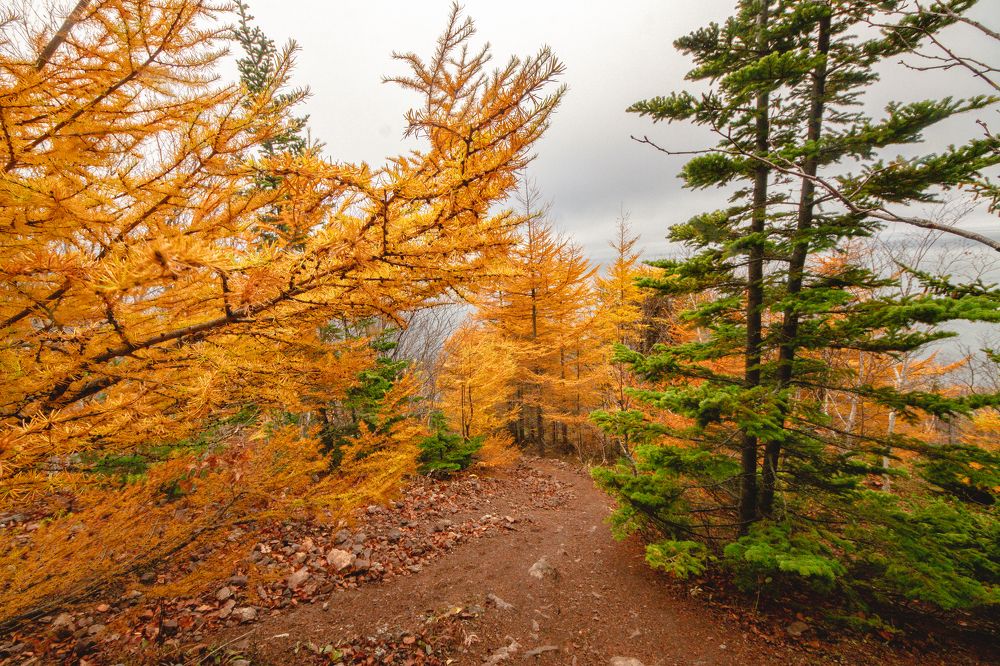 Photograph by Anna Turks