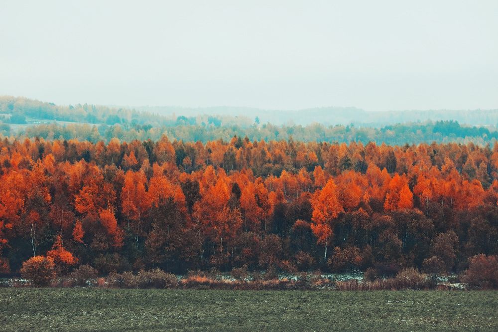 Фотография автора Игорь Ефремычев