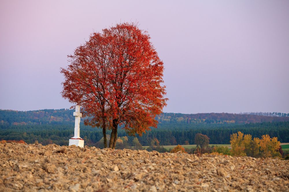 Photograph by Mirosław Pruchnicki