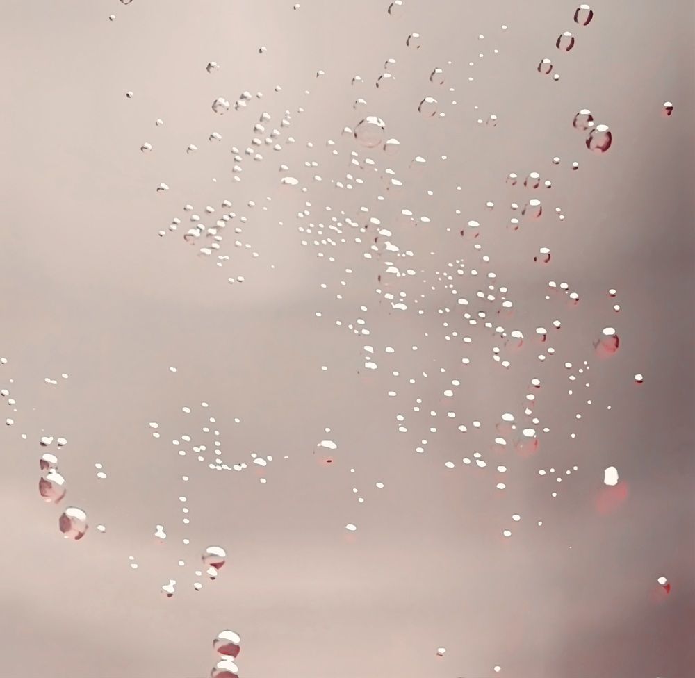 Photograph by Catherine