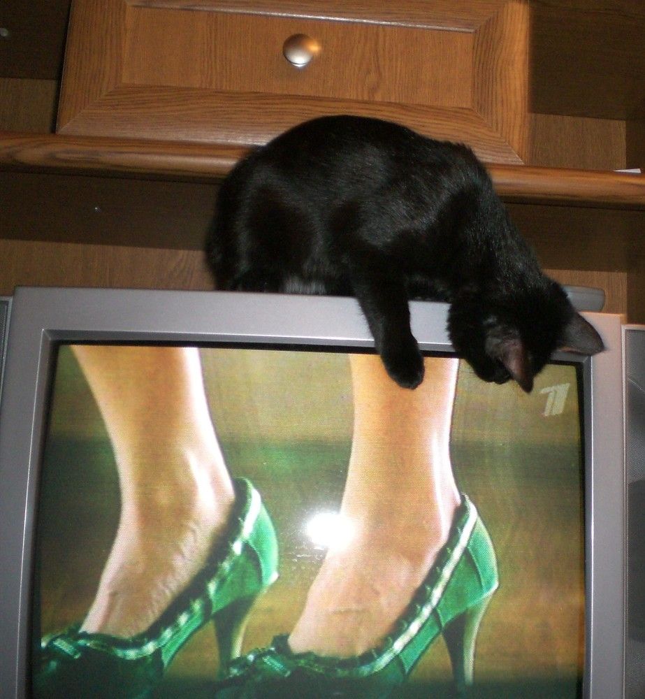 Photograph by Андрей Евтеев