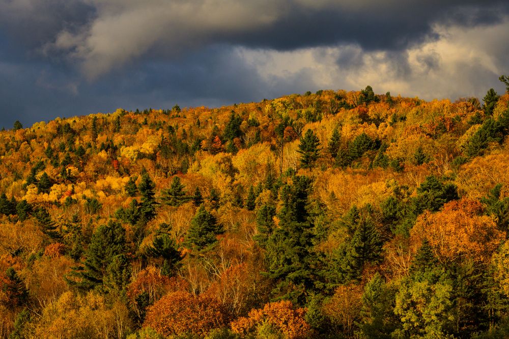 Photograph by Андрей Захаров