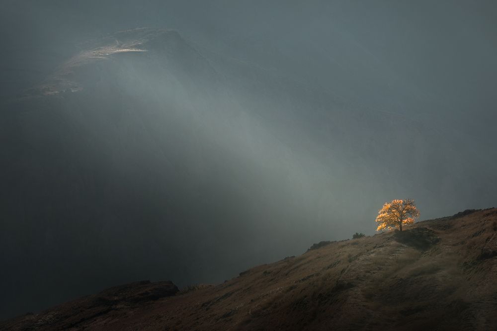 Photograph by Рудченко Ольга