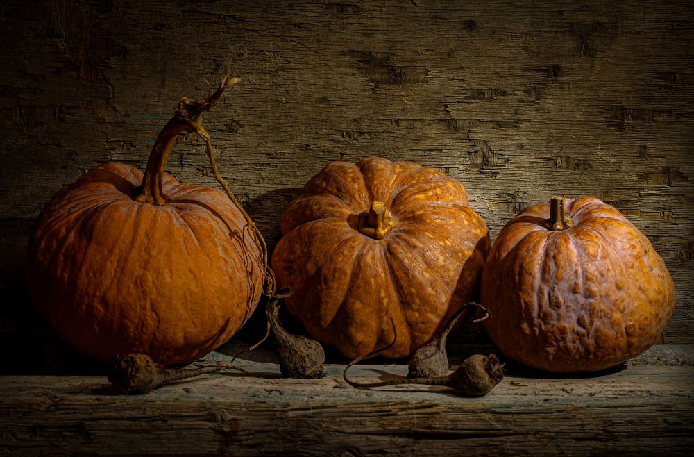 Photograph by sara shafigh