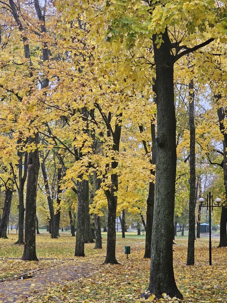 Photograph by даша ващенко