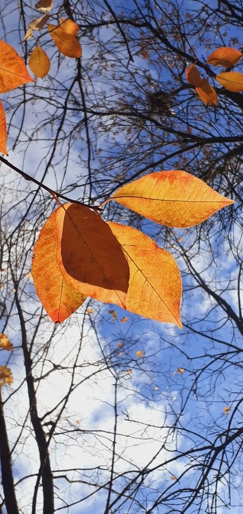 Photograph by Евгения Ульянова