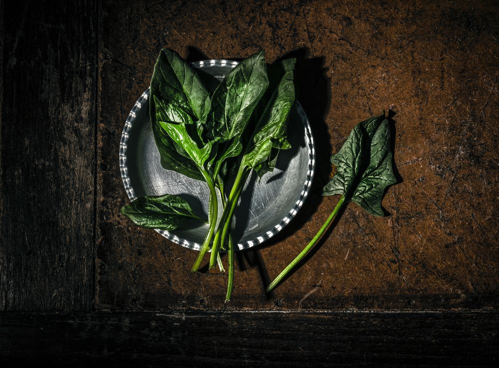 Photograph by sara shafigh