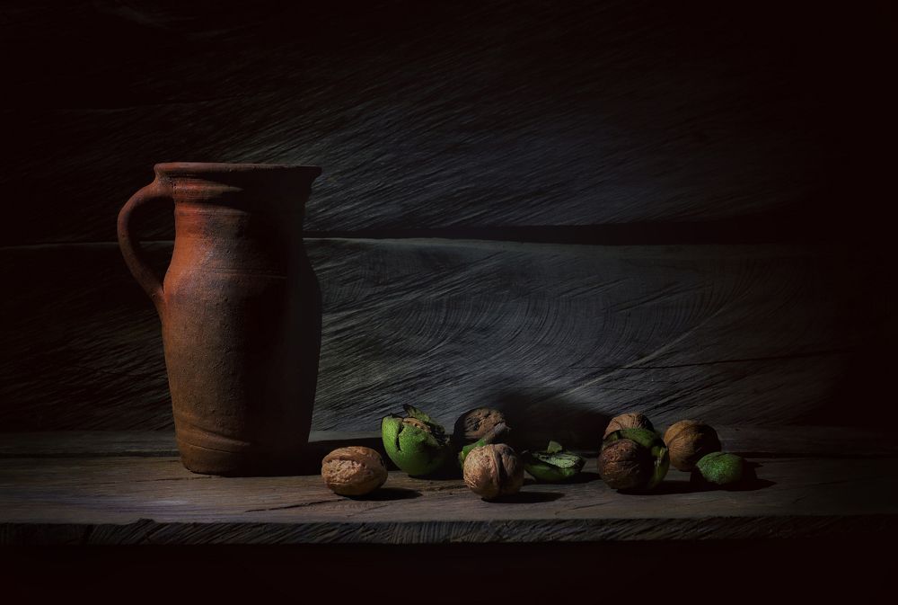 Photograph by sara shafigh