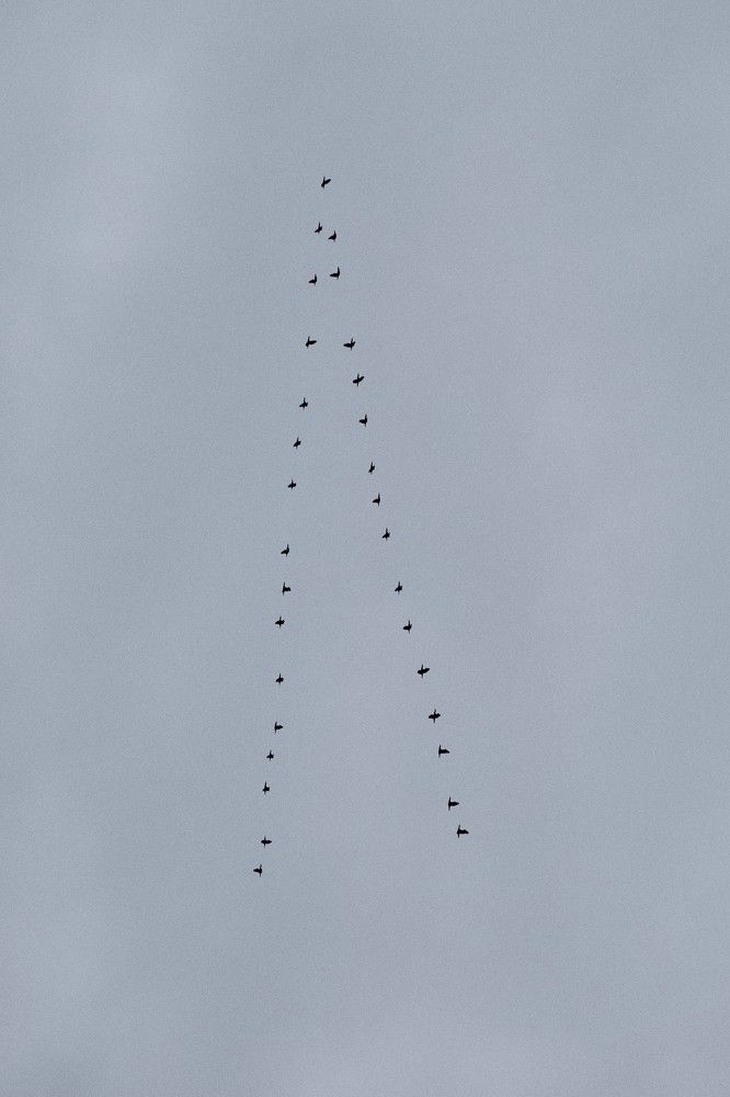 Photograph by Anna D.