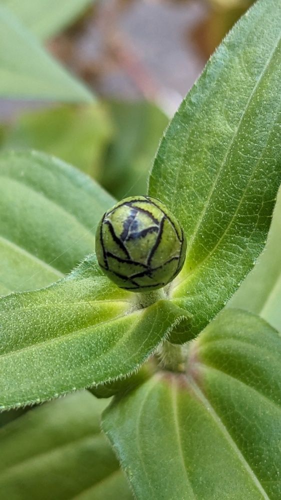 Photograph by Lilit Petrosyan