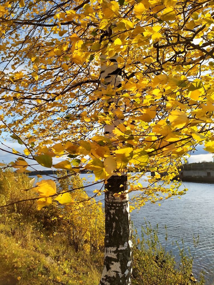 Photograph by Юлия Смирнова