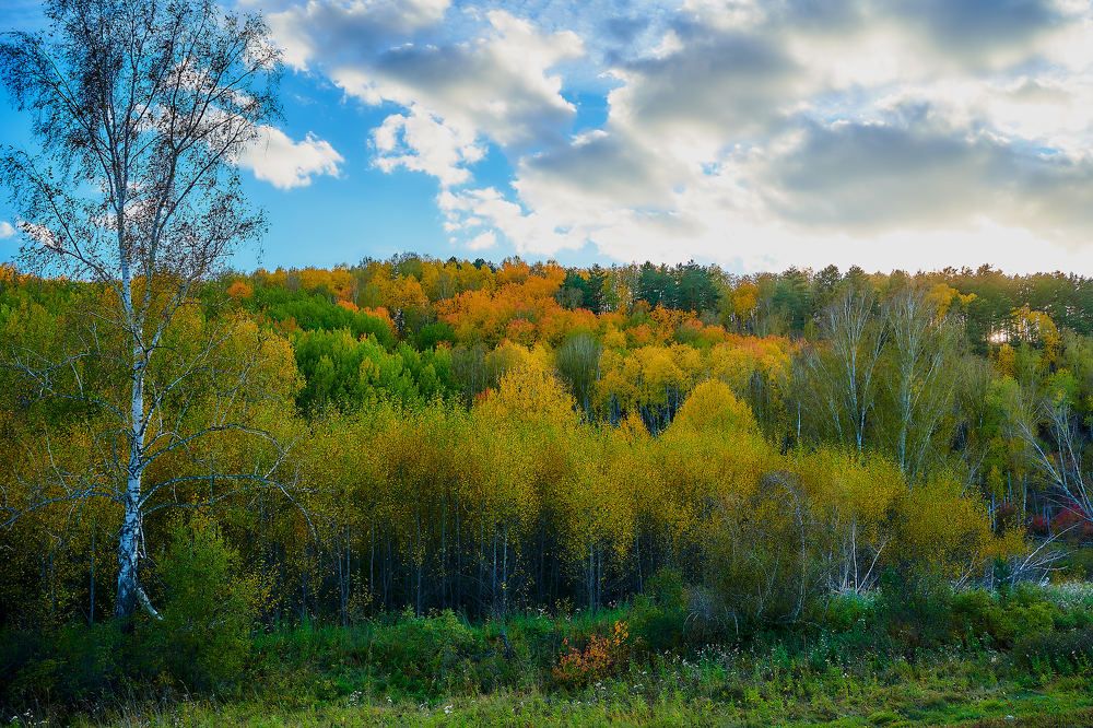 Photograph by Владимир Малевич