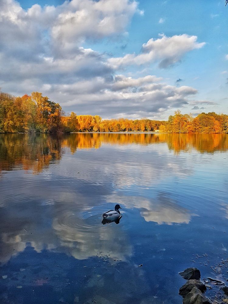 Photograph by Alexander Mishuris