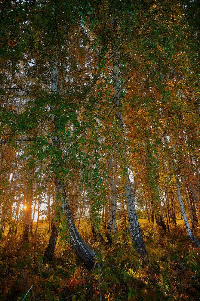 Photograph by Владимир Малевич