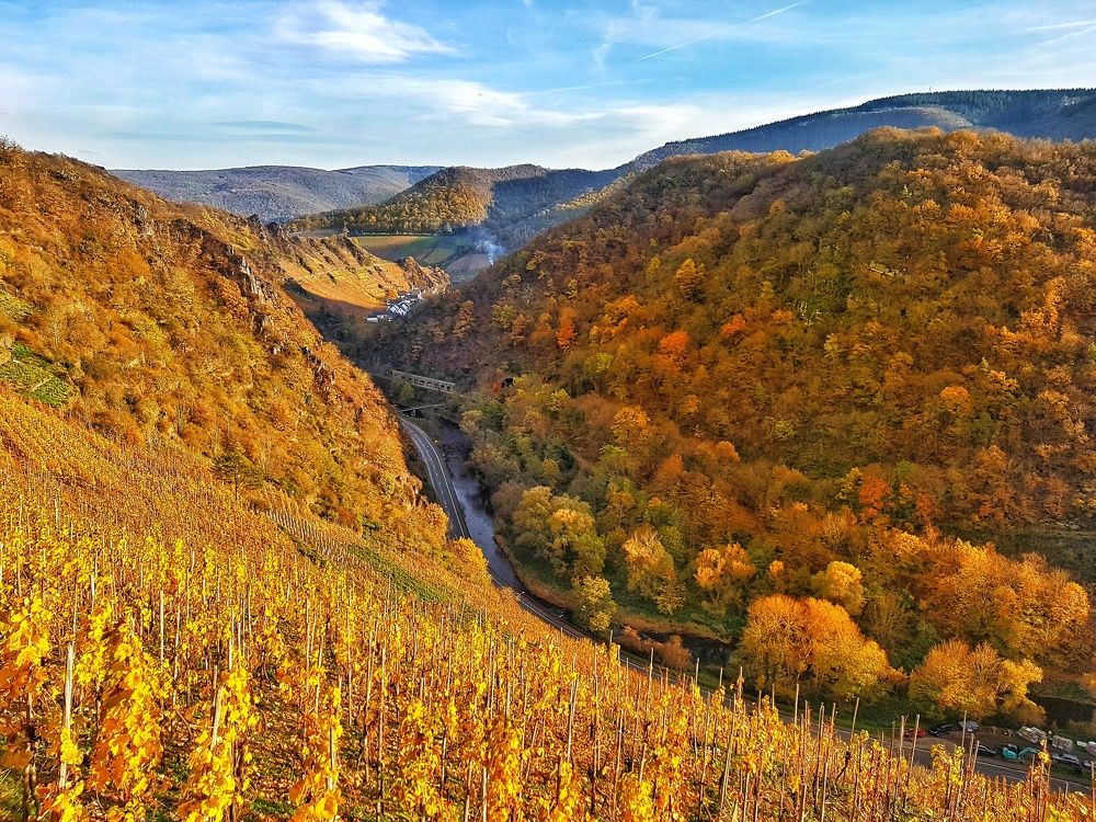 Photograph by Alexander Mishuris