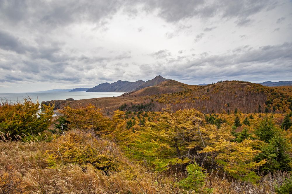 Photograph by Максим Тыщенко