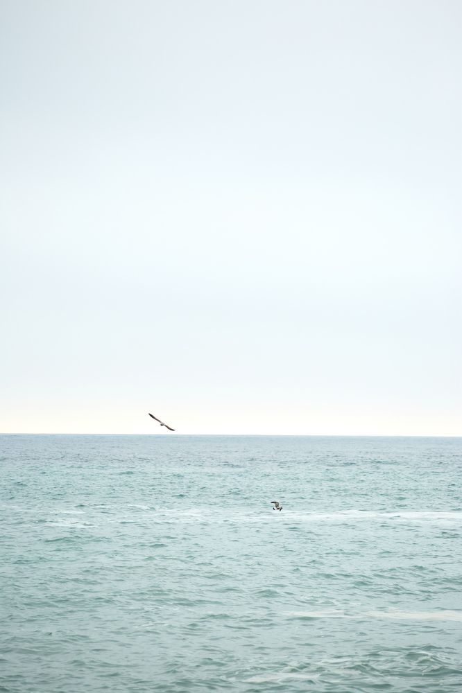 Photograph by Anna D.